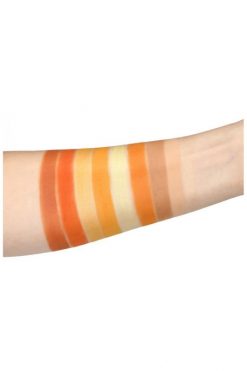 Echo Club House Peach Fizz Neutral Metallic Shadow Palette Accessories